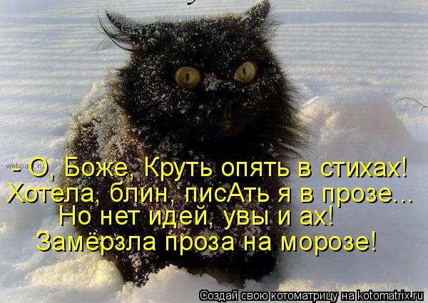 Котоматрица: - О, Боже, Круть опять в стихах! Хотела, блин, писАть я в прозе... Но нет идей, увы и ах! Замёрзла проза на морозе!