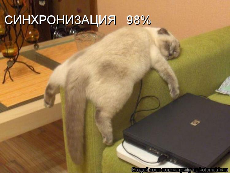 Котоматрица: СИНХРОНИЗАЦИЯ   98%