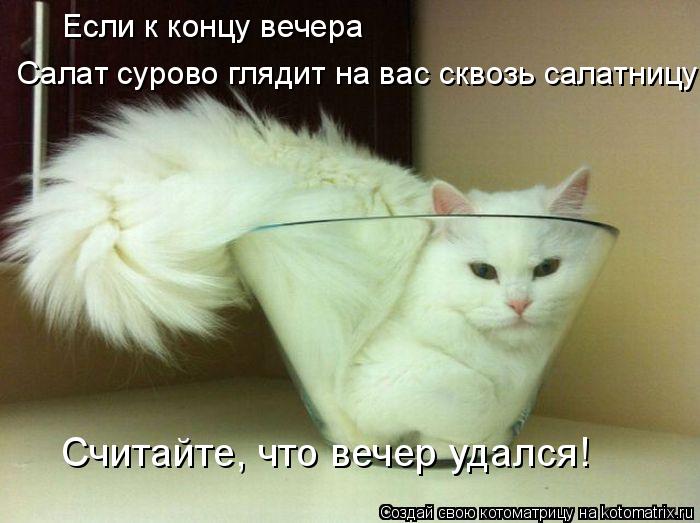 Котоматрица: Если к концу вечера Салат сурово глядит на вас сквозь салатницу Считайте, что вечер удался!