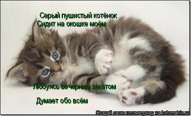 Котоматрица: Серый пушистый котёнок       Сидит на окошке моём    Любуясь вечерним закатом Думает обо всём