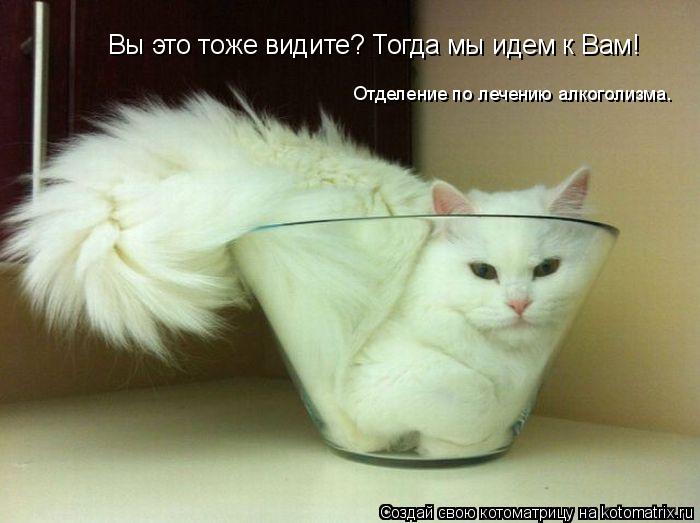 Котоматрица: Вы это тоже видите? Тогда мы идем к Вам! Отделение по лечению алкоголизма.