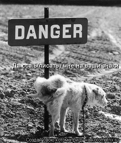 Котоматрица: Да сса.ь(писать) мне на ваши знаки