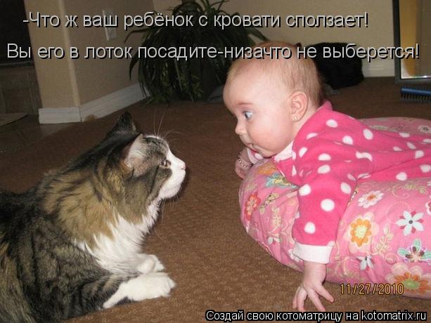 Котоматрица: -Что ж ваш ребёнок с кровати сползает! Вы его в лоток посадите-низачто не выберется!