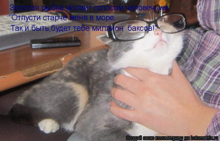 Котоматрица: Золотая рыбка молвит голосом человечьим: "Отпусти старче меня в море, Так и быть,будет тебе миллион  баксов!"