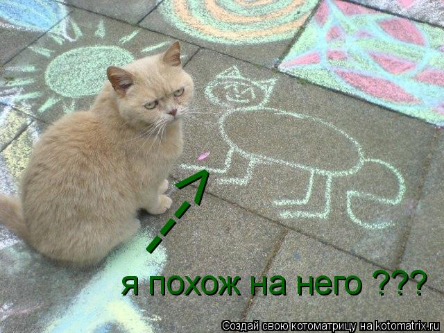 Котоматрица: я похож на него ??? --->