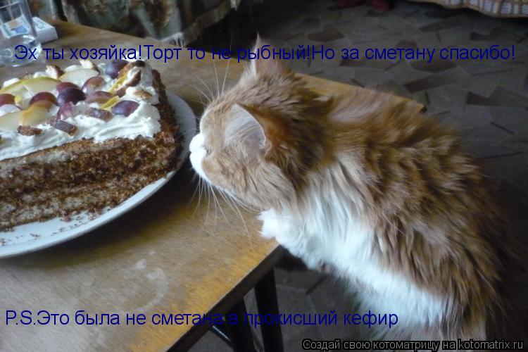 Котоматрица: Эх ты хозяйка!Торт то не рыбный!Но за сметану спасибо! P.S.Это была не сметана а прокисший кефир