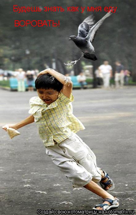 Котоматрица: Будешь знать как у мня еду  ВОРОВАТЬ!