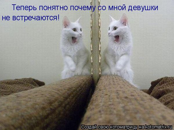 Котоматрица: Теперь понятно почему со мной девушки не встречаются!