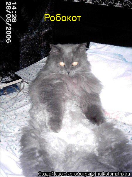 Котоматрица: Робокот