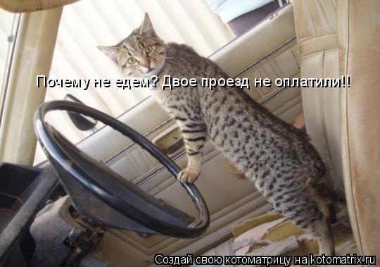 Котоматрица: Почему не едем? Двое проезд не оплатили!!