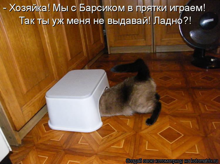 - Хозяйка! Мы с Барсиком в прятки играем! Так ты уж меня не выдавай! Ладно?!... Котоматрица: - Хозяйка! Мы с Барсиком в прятки играем! Так ты уж меня не выдавай! Ладно?!