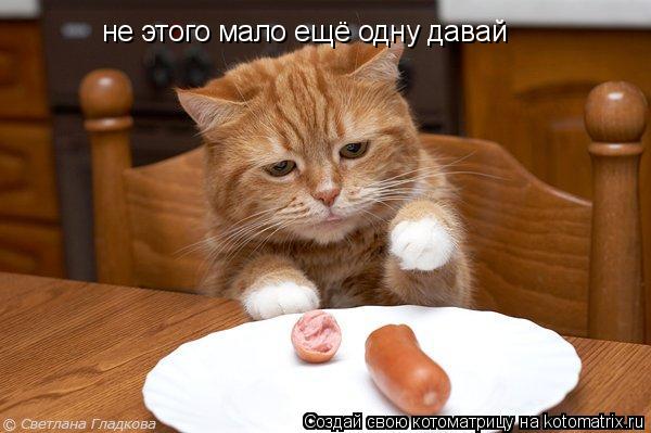 Котоматрица: не этого мало ещё одну давай