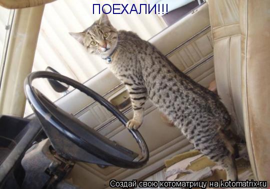 Котоматрица: ПОЕХАЛИ!!!