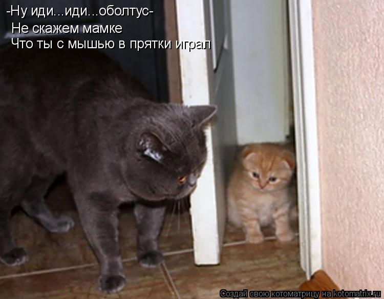 Котоматрица: Не скажем мамке Что ты с мышью в прятки играл -Ну иди...иди...оболтус-