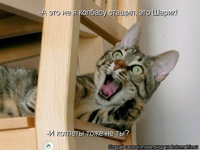 Котоматрица: -А это не я колбасу стащил, это Шарик! -И котлеты тоже не ты?