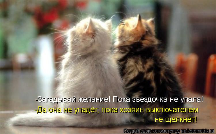 -Загадывай желание! Пока звёздочка не упала! -Да она не упадёт, пока хозяин выключателем не щелкнет!... Котоматрица: -Загадывай желание! Пока звёздочка не упала! -Да она не упадёт, пока хозяин выключателем не щелкнет!