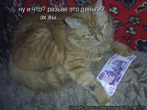 Котоматрица: ну и что? разьве это деньги? эх вы...