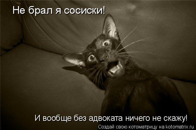Не брал я сосиски! И вообще без адвоката ничего не скажу!... Котоматрица: Не брал я сосиски! И вообще без адвоката ничего не скажу!