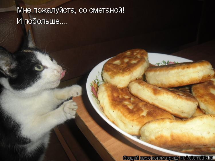 Мне,пожалуйста, со сметаной! И побольше....... Котоматрица: Мне,пожалуйста, со сметаной! И побольше....