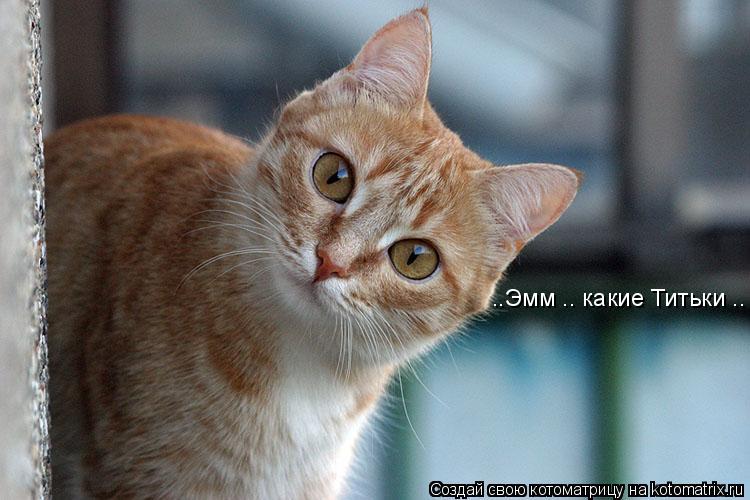 ..Эмм .. какие Титьки ..... Котоматрица: ..Эмм .. какие Титьки ..