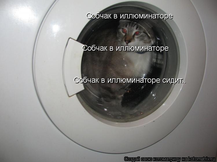Собчак в иллюминаторе Собчак в иллюминаторе Собчак в иллюминаторе сидит..... Котоматрица: Собчак в иллюминаторе Собчак в иллюминаторе Собчак в иллюминаторе сидит..