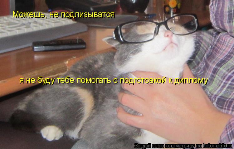 Можешь, не подлизыватся я не буду тебе помогать с подготовкой к диплому... Котоматрица: Можешь, не подлизыватся я не буду тебе помогать с подготовкой к диплому