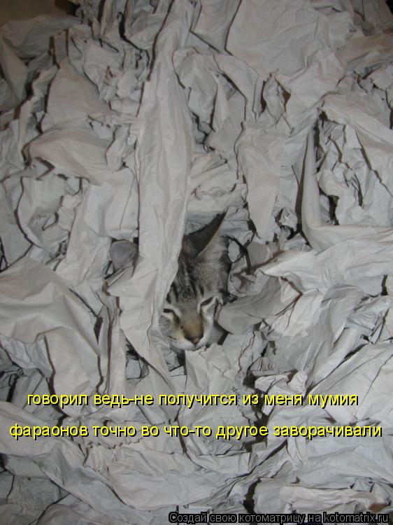 говорил ведь-не получится из меня мумия фараонов точно во что-то другое заворачивали... Котоматрица: говорил ведь-не получится из меня мумия фараонов точно во что-то другое заворачивали