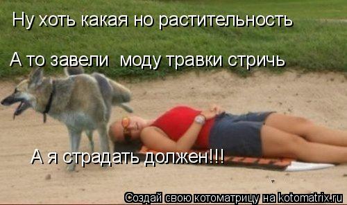 Ну хоть какая но растительность А то завели моду травки стричь А я страдать должен!!!... Котоматрица: Ну хоть какая но растительность А то завели моду травки стричь А я страдать должен!!!