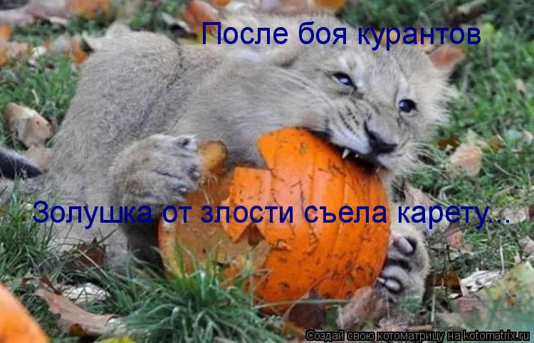 После боя курантов Золушка от злости съела карету...... Котоматрица: После боя курантов Золушка от злости съела карету...