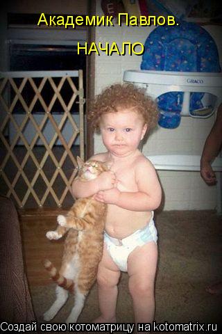 Котоматрица: Академик Павлов.  НАЧАЛО