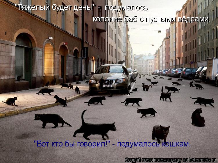 Котоматрица: колонне баб с пустыми вёдрами. "Вот кто бы говорил!" - подумалось кошкам. "Тяжёлый будет день!" -  подумалось