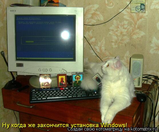 Котоматрица: Ну когда же закончится установка Windows!