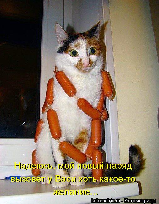Котоматрица: Надеюсь, мой новый наряд вызовет у Васи хоть какое-то желание...