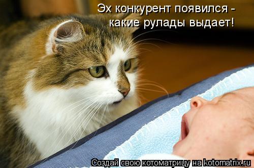 Котоматрица: Эх конкурент появился - какие рулады выдает!