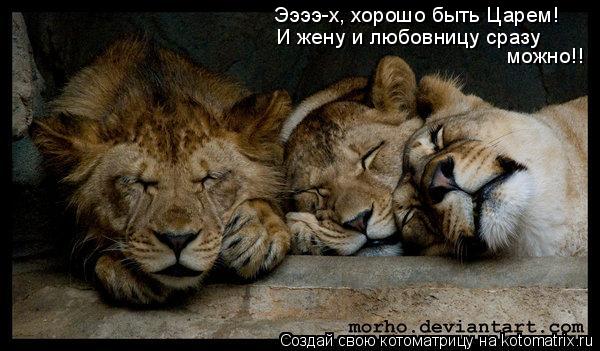 Котоматрица: Ээээ-х, хорошо быть Царем! И жену и любовницу сразу  можно!!