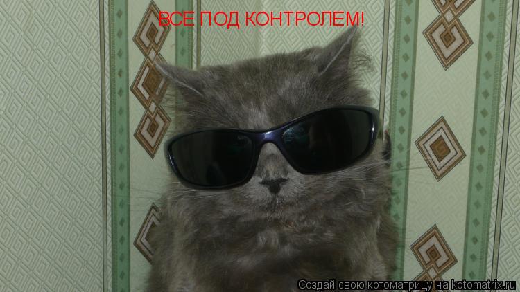 Котоматрица: ВСЕ ПОД КОНТРОЛЕМ!