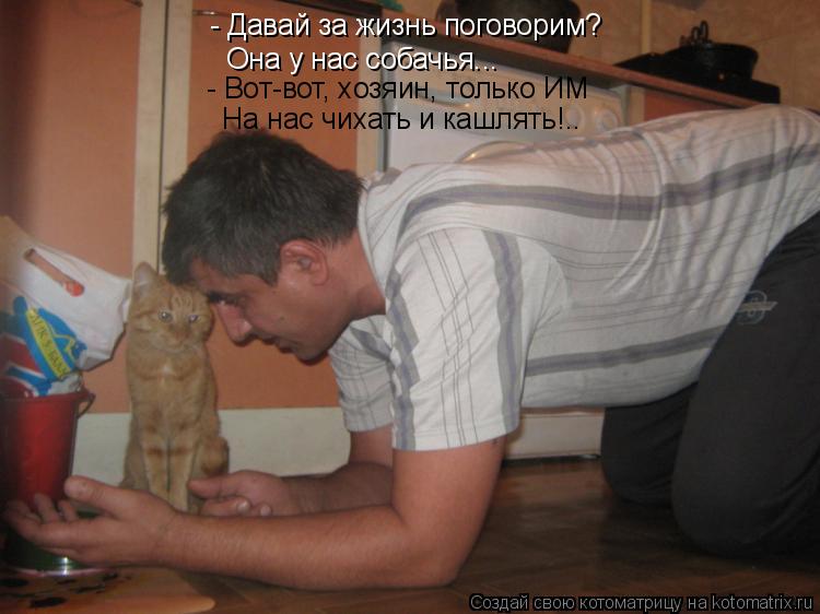 Котоматрица: - Давай за жизнь поговорим?  Она у нас собачья... - Вот-вот, хозяин, только ИМ На нас чихать и кашлять!..
