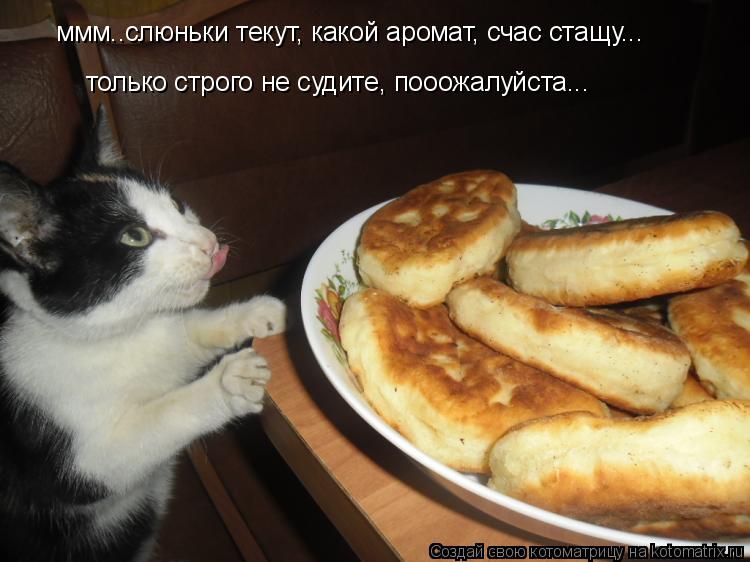 Котоматрица: ммм..слюньки текут, какой аромат, счас стащу... только строго не судите, пооожалуйста...