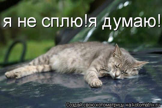 Котоматрица: я не сплю!я думаю!