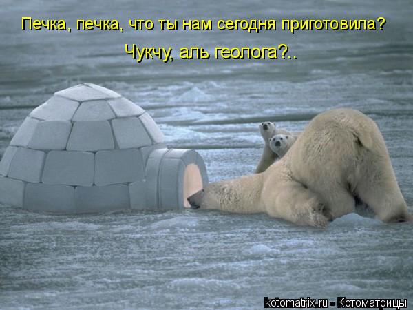 Печка, печка, что ты нам сегодня приготовила? Чукчу, аль геолога?..... Котоматрица: Печка, печка, что ты нам сегодня приготовила? Чукчу, аль геолога?..