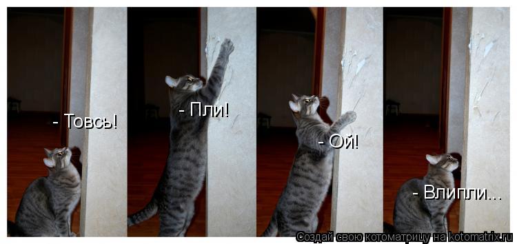 Котоматрица: - Товсь! - Пли! - Ой! - Влипли...