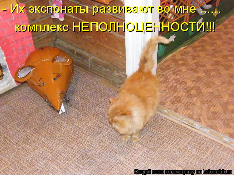 - Их экспонаты развивают во мне ...... комплекс НЕПОЛНОЦЕННОСТИ!!!... Котоматрица: - Их экспонаты развивают во мне ...... комплекс НЕПОЛНОЦЕННОСТИ!!!