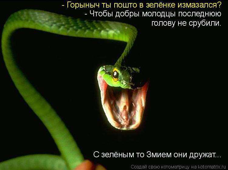 С зелёным то Змием они дружат... - Горыныч ты пошто в зелёнке измазался? - Чтобы добры молодцы послед... Котоматрица: С зелёным то Змием они дружат... - Горыныч ты пошто в зелёнке измазался? - Чтобы добры молодцы последнюю голову не срубили.