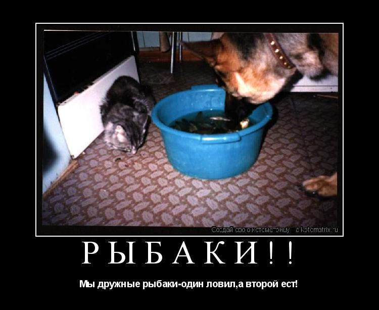 Котоматрица: Рыбаки!! Мы дружные рыбаки-один ловил,а второй ест!