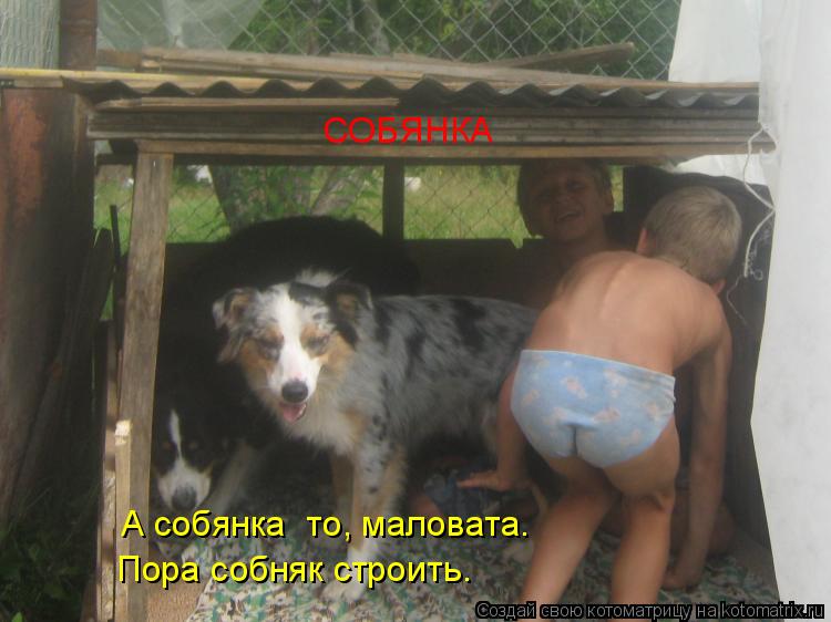 Котоматрица: СОБЯНКА А собянка  то, маловата.  Пора собняк строить.