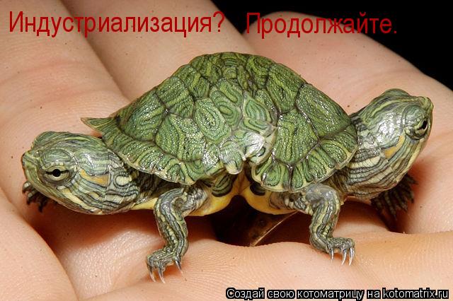 Котоматрица: Индустриализация? Продолжайте.