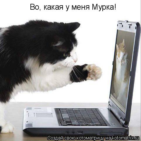 Котоматрица: Во, какая у меня Мурка!