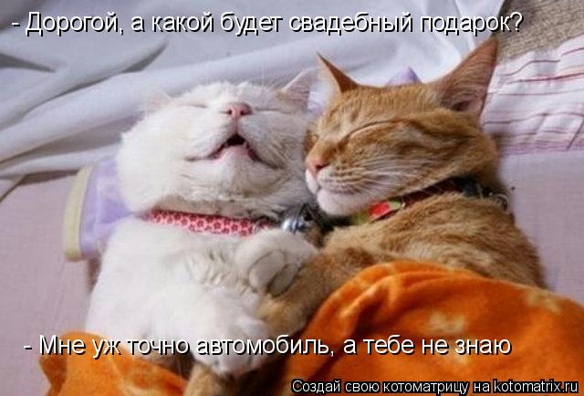 Котоматрица: - Дорогой, а какой будет свадебный подарок? - Мне уж точно автомобиль, а тебе не знаю