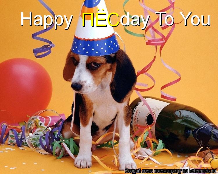 Happy day To You ПЕС ..... Котоматрица: Happy day To You ПЕС ..