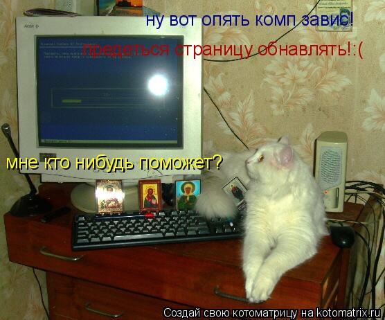 Котоматрица: ну вот опять комп завис! предеться страницу обнавлять!:( мне кто нибудь поможет?